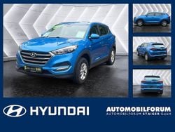 Ara blue / met Gebraucht 2017 Hyundai Tucson Classic SUV | 13.990 € (Fairer Preis)
