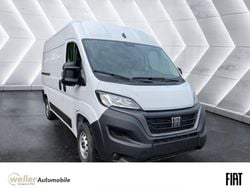 Weiss (pastell)) (weiss Gebraucht 2024 Fiat Ducato Van | 28.950 € (Superpreis)