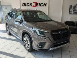 Braun Gebraucht 2023 Subaru Forester SUV | 27.980 € (Fairer Preis)