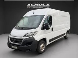 Weiss Gebraucht 2019 Fiat Ducato Van | 20.989 € (Teuer)