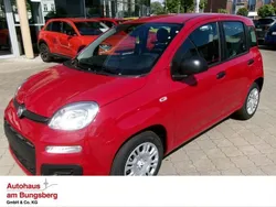 Rot Neu 2025 Fiat Panda Kleinwagen | 17.490 €