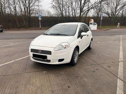 Weiß Gebraucht 2009 Fiat Punto Kleinwagen | 3.250 €