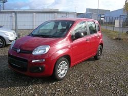 Rot Gebraucht 2015 Fiat Panda Easy Kleinwagen | 5.250 € (Superpreis)