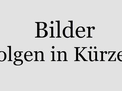 Weiß Gebraucht 2022 VW T6.1 Van | 28.980 €