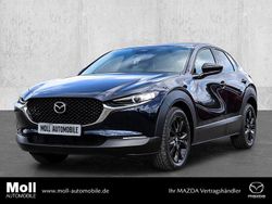 Blau Neu 2025 Mazda CX-30 Homura-Line SUV | 28.990 €