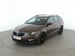 Braun Gebraucht 2017 Skoda Octavia Ambition Kombi | 15.390 € (Teuer)