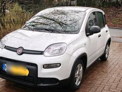 Weiß Gebraucht 2024 Fiat Grande Panda Kleinwagen | 14.700 € (Fairer Preis)