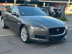 Grau Gebraucht 2017 Jaguar XF Portfolio Limousine | 12.900 € (Superpreis)