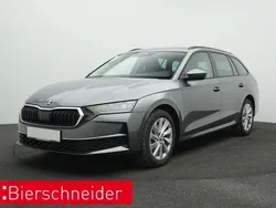 Grau Gebraucht 2024 Skoda Octavia Selection Kombi | 29.450 € (Guter Preis)