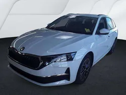 Moonweiss metallic Gebraucht 2024 Skoda Octavia Selection Kombi | 33.490 € (Fairer Preis)