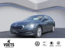 Grau Gebraucht 2021 Skoda Octavia First Edition Kombi | 21.988 € (Fairer Preis)