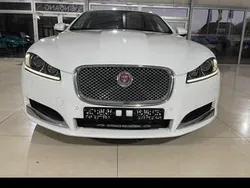 Weiß Gebraucht 2014 Jaguar XF Sportbrake Kombi | 15.499 € (Teuer)