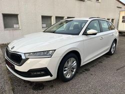 Weiß Gebraucht 2023 Skoda Octavia Ambition Limousine | 23.990 € (Superpreis)