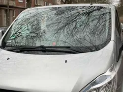 Silber Gebraucht 2014 Ford Tourneo Custom Trend Van / Kleinbus | 17.000 € (Etwas zu teuer)