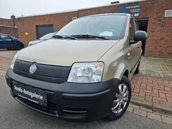 Braun Gebraucht 2010 Fiat Panda Kleinwagen | 3.190 € (Etwas zu teuer)