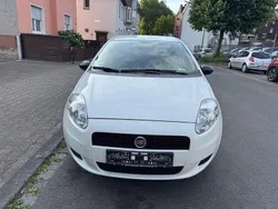 Weiß Gebraucht 2013 Fiat Punto Kleinwagen | 4.599 € (Fairer Preis)