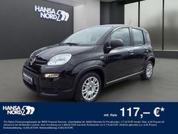 Schwarz Gebraucht 2024 Fiat Panda Kleinwagen | 13.790 € (Fairer Preis)