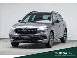 Grau Gebraucht 2025 Skoda Kamiq Tour SUV | 28.649 € (Teuer)