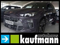 Dark void Gebraucht 2025 Cupra Terramar SUV | 36.990 € (Fairer Preis)