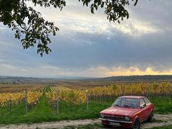 Rot Gebraucht 1976 Opel Kadett Limousine | 8.750 €