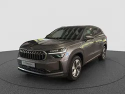 Grau Gebraucht 2025 Skoda Kodiaq Selection SUV | 45.890 € (Fairer Preis)