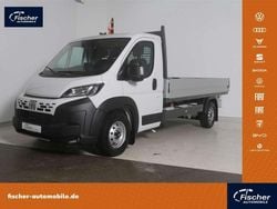 Weiß Gebraucht 2025 Fiat Ducato Van | 28.980 € (Superpreis)