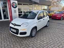 Weiß Neu 2025 Fiat Panda Icon Limousine | 16.490 € (Etwas zu teuer)