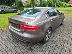 Braun Gebraucht 2018 Jaguar XF Pure Limousine | 17.999 € (Guter Preis)