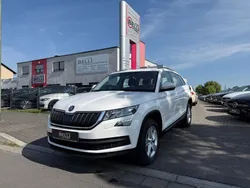 Weiß Gebraucht 2019 Skoda Kodiaq Ambition SUV | 27.950 € (Fairer Preis)