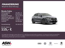 Grau Neu 2025 Skoda Fabia Tour Kleinwagen | 26.290 € (Etwas zu teuer)