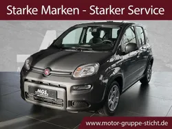 Colosseo grau Gebraucht 2024 Fiat Panda Kleinwagen | 14.650 € (Etwas zu teuer)