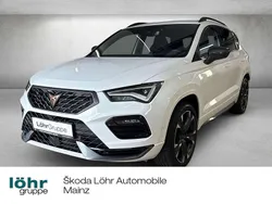 "bila" weiss Gebraucht 2023 Cupra Ateca SUV | 33.280 € (Superpreis)