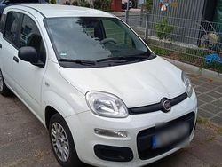 Weiß Gebraucht 2020 Fiat Panda Kleinwagen | 5.990 €