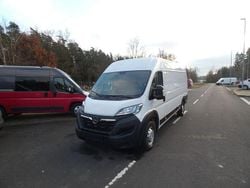 Lackierung weiss icy/typ ausse Gebraucht 2022 Opel Movano Van | 18.600 € (Superpreis)