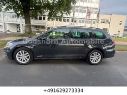 Uranograu Gebraucht 2020 VW Golf VII Kombi | 8.990 € (Superpreis)