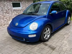 Blau Gebraucht 2003 VW Beetle Conceptline Coupé | 2.222 € (Fairer Preis)