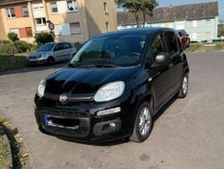 Schwarz Gebraucht 2018 Fiat Panda Kleinwagen | 5.800 € (Superpreis)