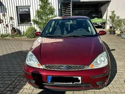 Rot Gebraucht 2004 Ford Focus Limousine | 750 € (Guter Preis)