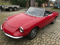 Rot Gebraucht 1971 Alfa Romeo Spider Cabrio | 19.950 €