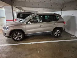 Beige Gebraucht 2013 VW Tiguan Sportline SUV | 9.999 € (Superpreis)
