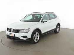 Weiß Gebraucht 2019 VW Tiguan Comfortline SUV | 20.480 € (Guter Preis)