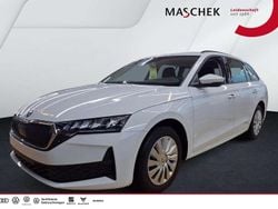 Moon weiss perleffekt Gebraucht 2025 Skoda Octavia Kombi | 25.440 € (Guter Preis)