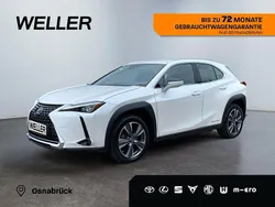 Weiss Gebraucht 2021 Lexus UX 300e Executive Line SUV | 27.800 € (Fairer Preis)