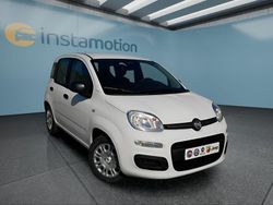 Weiß Neu 2025 Fiat Panda Kleinwagen | 15.499 € (Fairer Preis)