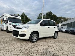 Gelato weiss Neu 2025 Fiat Panda Icon Kleinwagen | 17.990 € (Teuer)