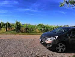 Braun Gebraucht 2012 Kia Rio Spirit Limousine | 5.000 € (Fairer Preis)