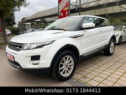 Weiß Gebraucht 2013 Land Rover Range Rover evoque Pure SUV | 11.690 € (Guter Preis)