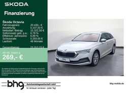 Weiß Gebraucht 2022 Skoda Octavia Style Kombi | 20.430 € (Fairer Preis)