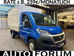 Colore esterno (blau) Gebraucht 2019 Fiat Ducato Van | 23.590 € (Fairer Preis)