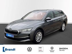Grau Gebraucht 2025 Skoda Octavia Selection Kombi | 33.490 € (Superpreis)